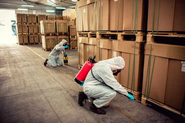 Best Local Pest Control Services  in Roselle, IL