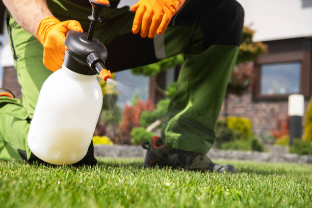Best Wildlife Control Services  in Roselle, IL