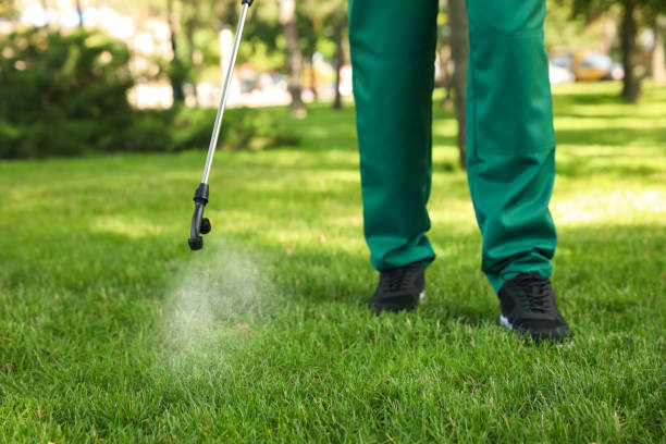 Best Residential Pest Control  in Roselle, IL
