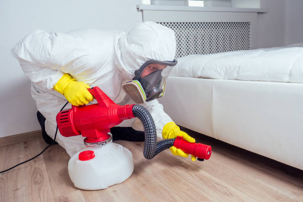 Best Pest Control Near Me  in Roselle, IL