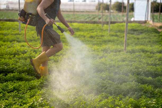 Professional Pest Control in Roselle, IL