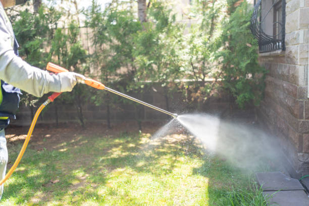 Best Pest Prevention Services  in Roselle, IL