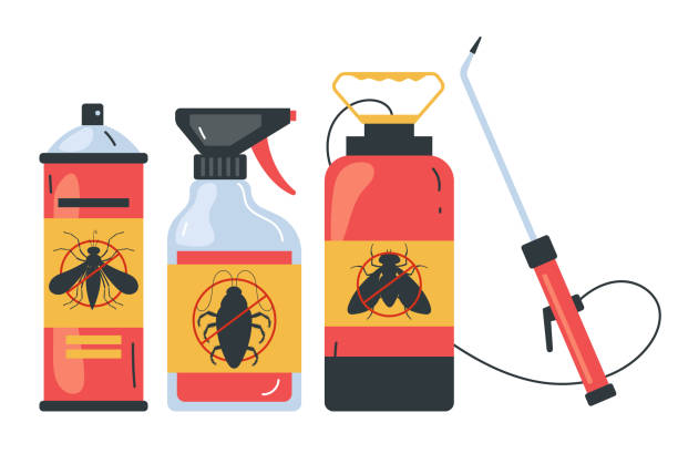Best Spider Control Near Me  in Roselle, IL